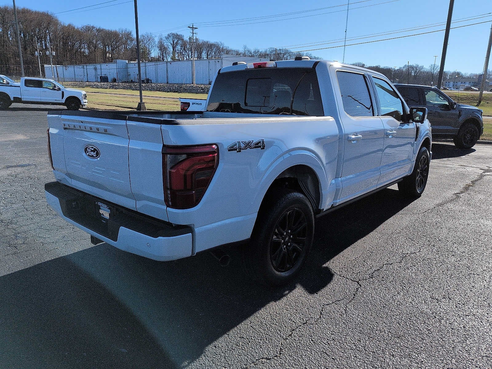 2025 Ford F-150 Platinum