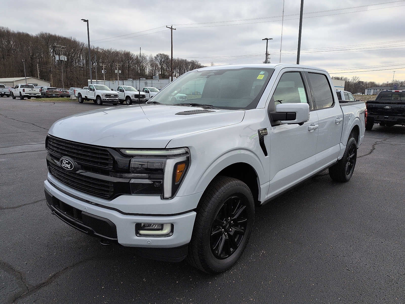 2025 Ford F-150 Platinum