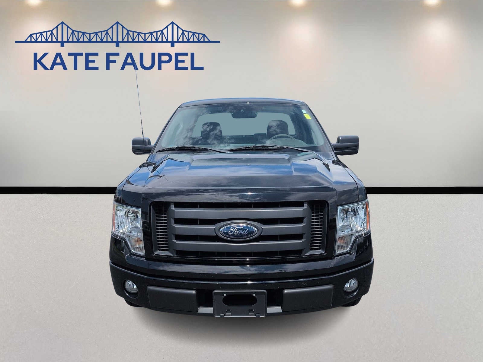 Used 2009 Ford F-150 STX with VIN 1FTRF12W79KB44160 for sale in Henderson, KY